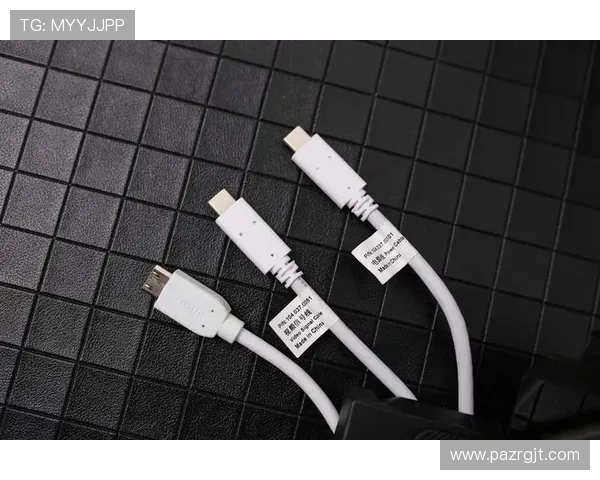 全面解析视讯娱乐评测网登录步骤及常见问题解决方案提升用户登录体验